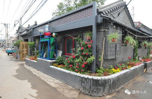 5月高招s忍2025爆料最新,揭秘忍者界新势力崛起  第1张