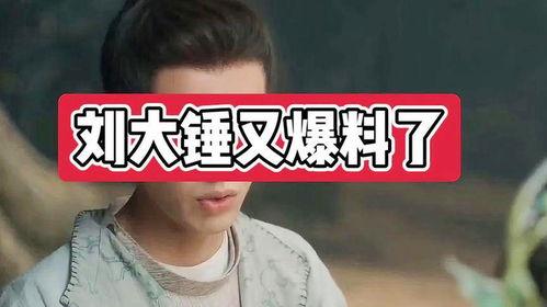 刘大锤爆料啥事件了啊视频,揭秘某重大事件内幕