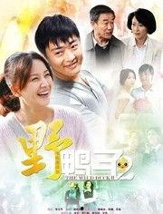 野鸭子第二部全集在线观看,感人至深的亲情与成长之旅  第1张