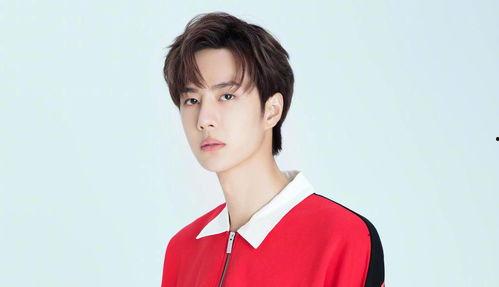 娱乐爆料陈瑶是谁呀视频,揭秘娱乐爆料中的神秘面孔 第3张 娱乐爆料陈瑶是谁呀视频,揭秘娱乐爆料中的神秘面孔 第3张