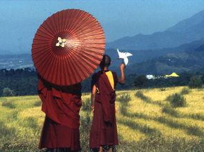 高山上的世界杯在线观看 第3张 高山上的世界杯在线观看 第3张